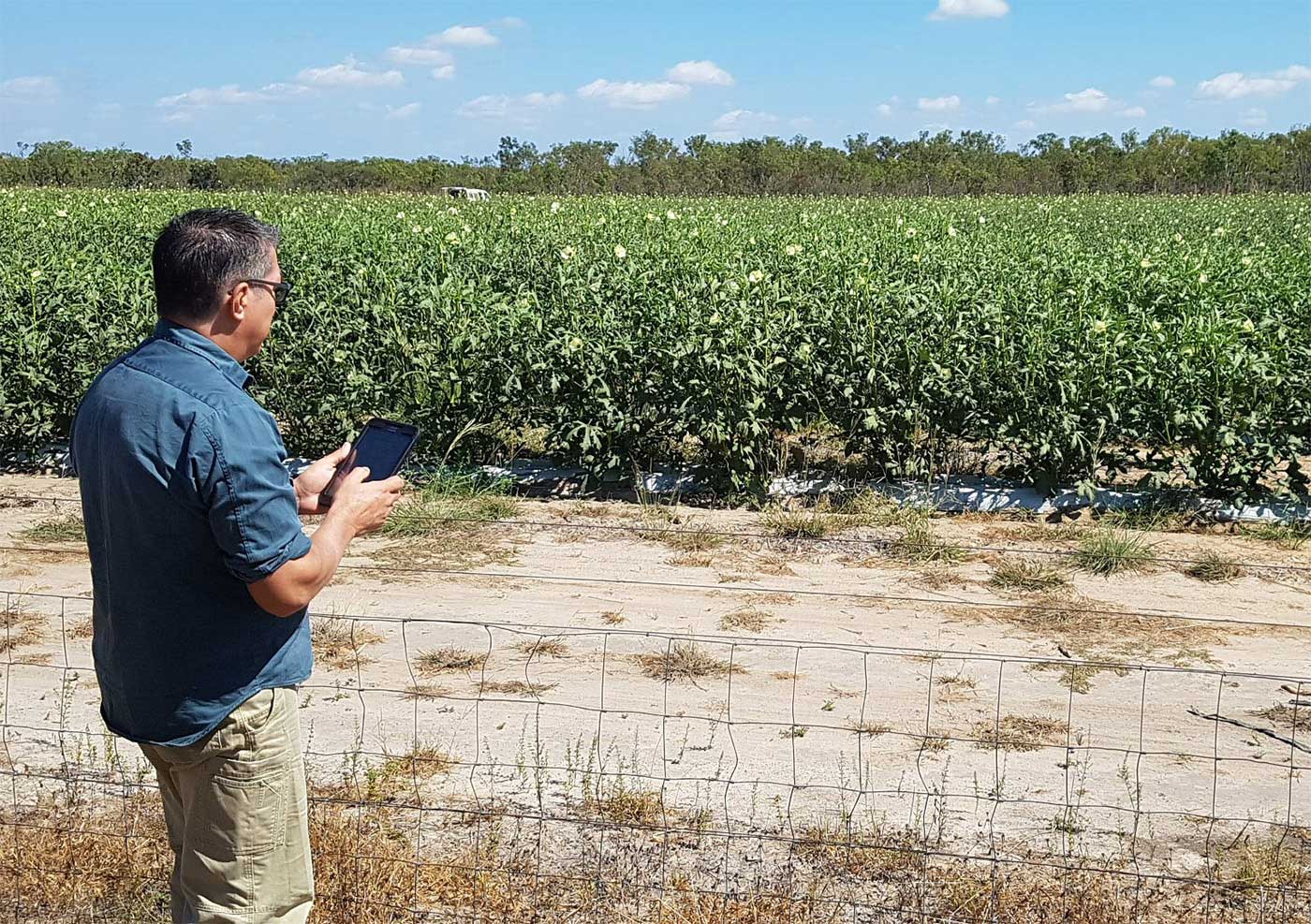 Man using a mobile device standing outside a crop